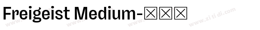 Freigeist Medium字体转换 Freigeist Medium字体转换